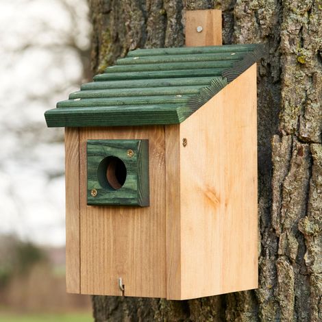 Mangeoire oiseaux extérieur à suspendre pour oiseaux sauvages en bois massif toit pente vert (1/5)