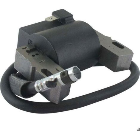 Bobine Électronique - Pour Moteurs Briggs & Stratton 5 Ch - Modèles 100200 À 132900 - Remplace Références 298316 Et 395491 - Unité (1/2)