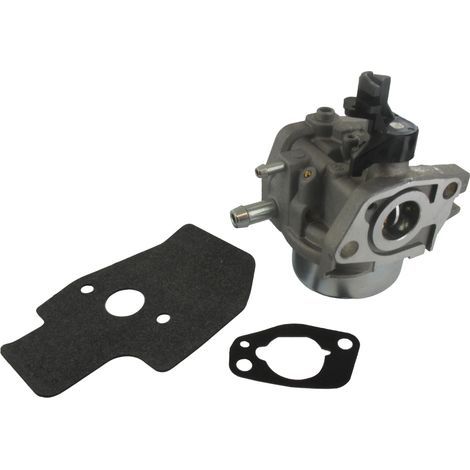 Carburateur Pour Tondeuses Modèles Sterwins Plm1-40z130.6 (dym1864ep) Sur Np130, Origine: 2100201828.