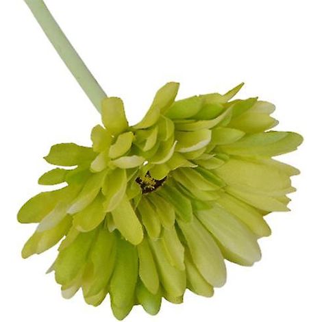1 branche de chrysanthème artificiel, magnifique et réaliste, pour la décoration de votre jardin.vert (1/5)