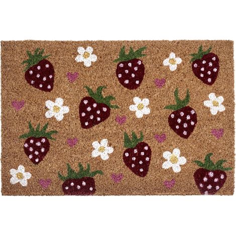 Zerbino di benvenuto tappetino in fibra di cocco antiscivolo 40 x 60 cm con retro in PVC Motivo fragola Multicolore Shainin (1/5)
