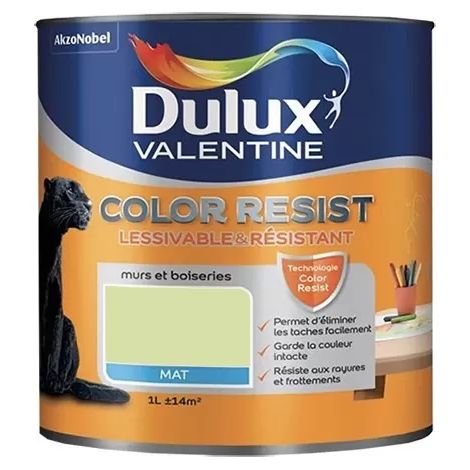 Dulux Valentine Peinture acrylique Color Resist Vert fluorine Mat 1 L (1/2)