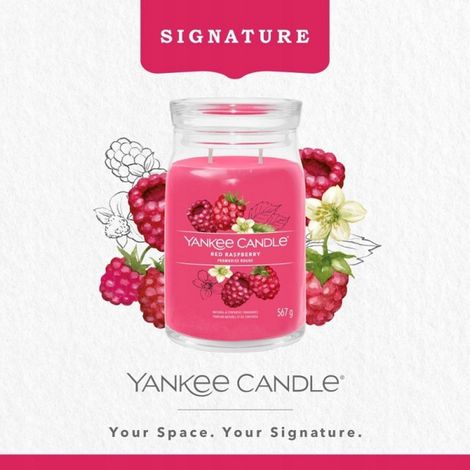 Yankee Candle Signature Duftkerze im großen Glas, Himbeerrot, 567 g (1/5)