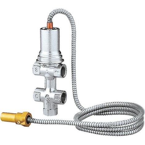 Caleffi Doppelte thermische Ablaufsicherung 544400 (1/2)