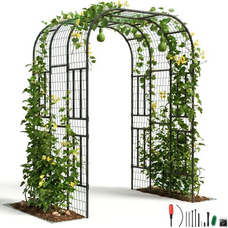 Arche de jardin robuste en métal – Treillis pour plantes grimpantes, légumes et fleurs – Idéal plates-bandes surélevées, support vigne solide – Structure jardin externeérieure – Couleur : Noir