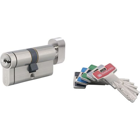 THIRARD Cylindre de serrure THIRARD Transit 2 bouton L.30 + 30 mm (1/2)