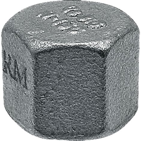 Embout en acier inoxydable, filetage intérieur 2" en acier inoxydable pour tuyau d'irrigation goutte à goutte