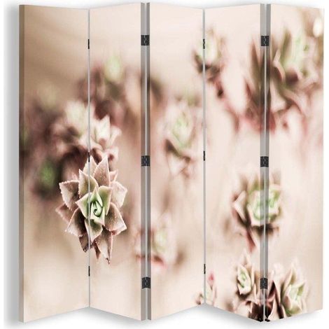 Paravento bilaterale 360, Succulente in scala macro - 180x170 (1/5)