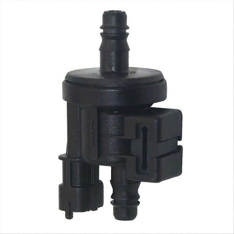 0280142517 Électrovanne de purge du canister de vapeurs de carburant pour voiture (1/5)