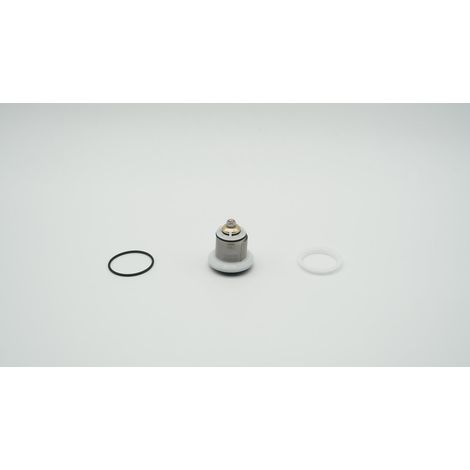 BWT Insert de valve p. module DR Gr.1, 1-902255