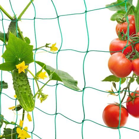 Filet de Jardin, Filet à Plantes Grimpantes, Filet à Ramer pour Récolte de Concombres, Légume, Tomates et Autres Légumes, Filet de Fixation pour Plantes Grimpantes (1.8 x 2.7m)- (1/5)