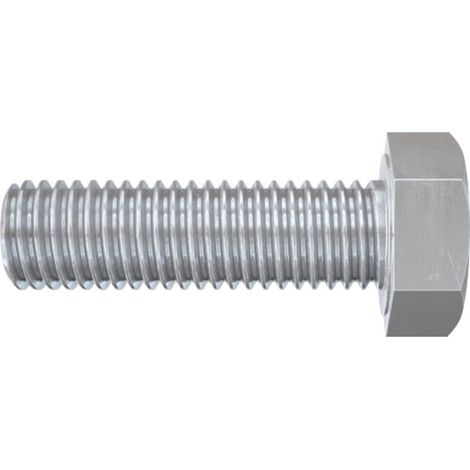 fischer Vis à tête 6 pans SKS 12 x 25 100 pièces (1/4)
