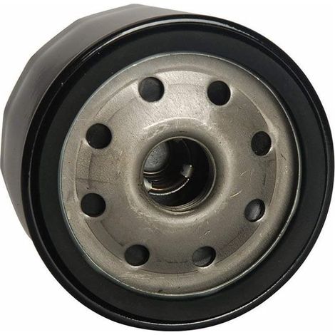 794422 795115 filtre à air filtre à huile filtre à carburant Bougie d'allumage Vanne d'arrêt pour 698083 697153 697014 797008 Intek 15,5 et 17-17.5hp (1/5)
