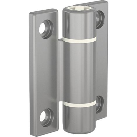 Charnière à ressort invisible PINET 7214413 Inox 1,3 Nm 67 mm (1/2)