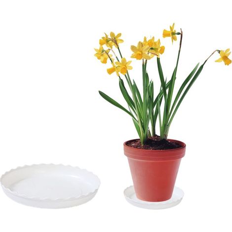 Support à eau pour pot de fleurs, plateau rond en plastique avec base mobile. (1/5)