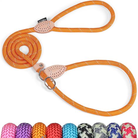 Grand Line Lasso pour Chien 150 cm, Coulissante de Dressage avec Frein, Réfléchissant Etrangleur pour Chiot, Petits, Moyens, Grands Chiens (10mm, Orange) (1/5)
