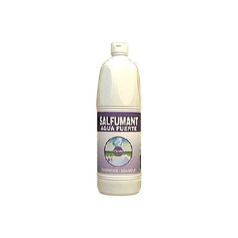 Starker Wasserpistole Salfumán Kunststoff 1000 ml