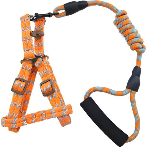 Colliers, harnais et laisses pour chiens de petite et grande taille (Orange 1.0120cm) (1/3)