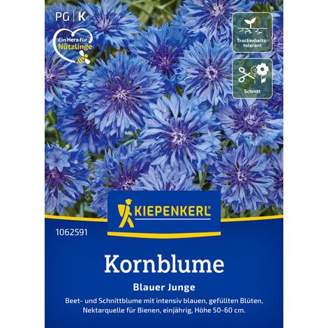 Kiepenkerl Blumensamen Kornblume Blauer Junge für ca. 80 Pflanzen (1/2)