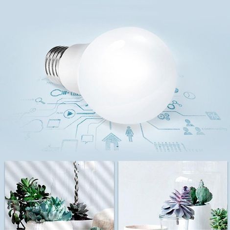 Bombilla Esférica LED E14 G45 5W Opal - Blanco Cálido (1/5)