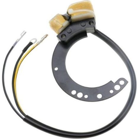 SABIR Stator magnéto adapté à la bobine d'allumage de moteur hors-bord Mercury Mariner 6HP-40HP 2 cylindres (1/4)