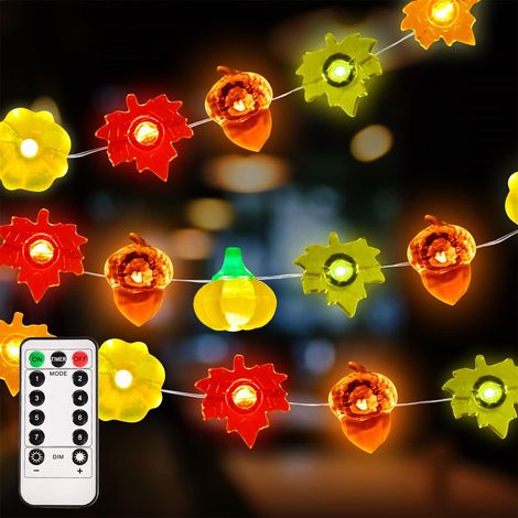 Guirlande Lumineuse Automne - 30 LED 3D Citrouille Érable Gland - 3 m - Fonctionne sur Piles AA - Pour Intérieur Extérieur - Décoration Fêtes Automnales (1/5)