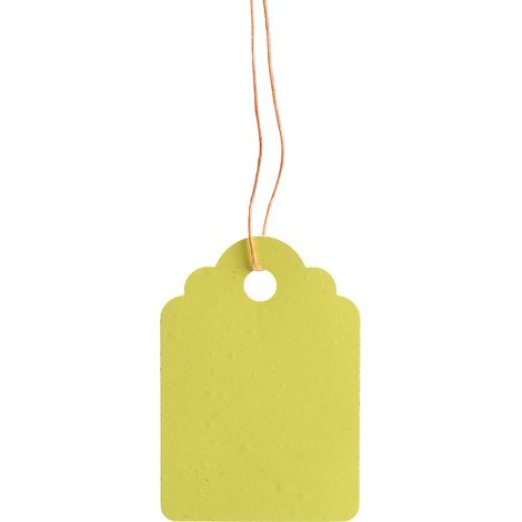 【Pflanzenetiketten】 Wiederverwendbare, wasserfeste PVC-Etiketten, 3,6 x 2,5 cm, 300 Stück, Blumenstecker, Gartenschnur aus Polymerfaser (1/5)