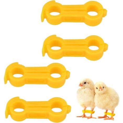 4 Pièces Bagues de Traitement pour Pattes écartées d'oiseaux, Attelle De Traction pour Jambe De Poussin, Correcteur d'oiseaux Attelle D'entrave De Patte D'oiseau, Anneau De Pied De Per (1/5)