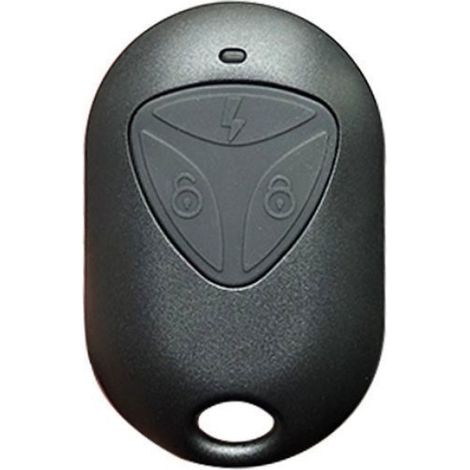 Télécommande 433 MHz, réplicateur de télécommande 4 canaux, ouvre-porte de garage, maison intelligente (1/5)
