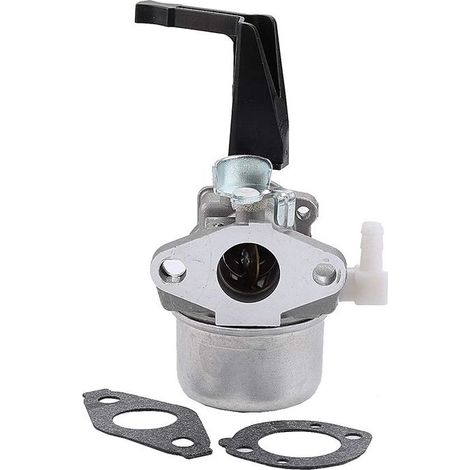 1 Kit carburateur et joints de rechange, pour moteurs Briggs & Stratton horizontaux, modèles 696065, 697422, 110402-0206-E1 (1/5)