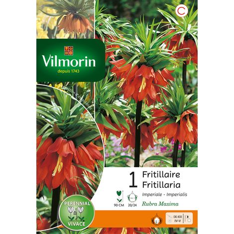 Vilmorin Fritillaire Imperialis Rubra (x1) (1/2)