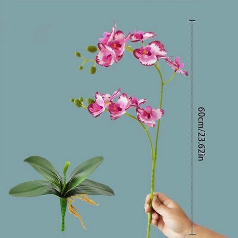 Lot de 2 orchidées artificielles Phalaenopsis papillon, au toucher agréable, avec feuilles réalistes.rouge (1/5)