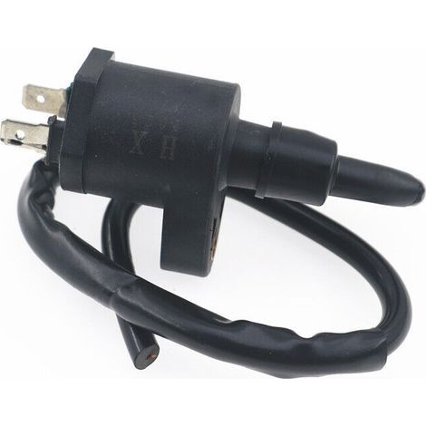 Bobine d'Allumage HT pour Moteur GY6 125cc - Compatible avec Scooter Haojue 125, Quad ATV et Buggy - Bobine Haute Tension de Rechange pour Allumage Moteur (1/5)
