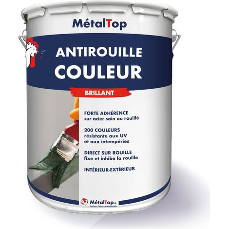 Antirouille Couleur - Vert sapin - RAL 6009 - 5 L - Métaltop (1/5)