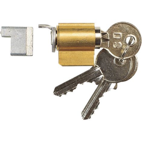 La Croisee Ds – Cylindre de serrure encastré 27-31 mm – Livré avec palier 10 mm et vis tôle Ø 3 x 8 mm – Pour bois dur