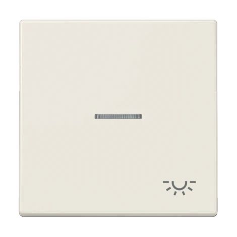 Jung Tecla 1 vez, símbolo de luz, con guía de luz, Duroplast, Serie LS, blanco LS 990 KO5 L