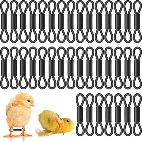 Soporte para polluelos, bandas para patas de polluelos, anillos para patas de polluelos, ayudas correctivas eficaces para sostener y estabilizar aves recién nacidas (negro, 50) (1/5)
