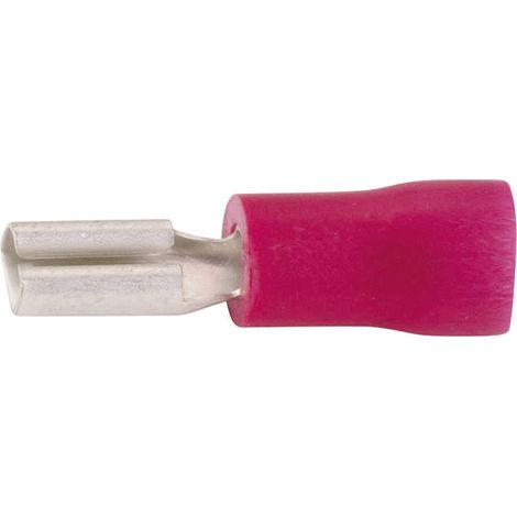 Cosse clip 2.8 mm x 0.5 mm Vogt Verbindungstechnik 390005 180 ° partiellement isolé rouge 1 pc(s) D24944