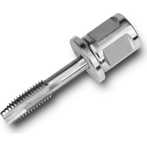 Fein Taraud pour trous traversants avec adaptateur 3/4" Weldon M 6 - 63110019030 (1/2)