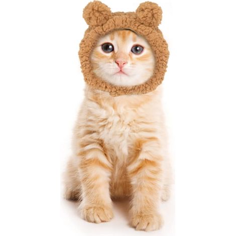 Chapeau pour animaux de compagnie (chat, chien) - Halloween et Noël
