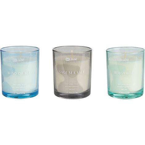 Set of 3 Scented Candles SHEER JOY Soy Wax Fresh Notes (1/5)