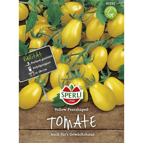 Sperli – Tomate cerise Yellow Pearshaped – Graines de légumes, hauteur env. 180 cm (1/2)