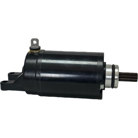 Starter motor T1313333 - Starter motor compatible with accessories for the Triumph Tiger 800 motorcycle
