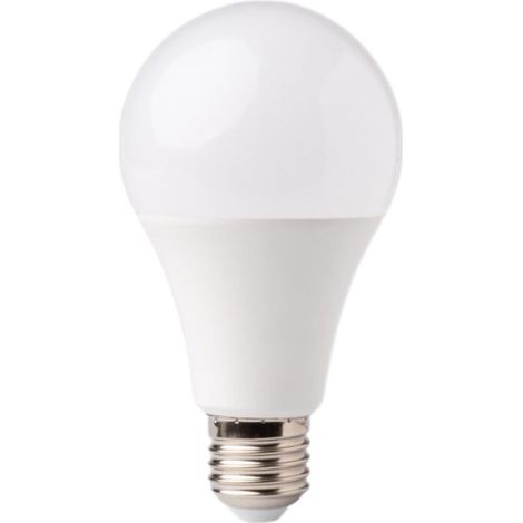 Ampoule LED globe E27 18W 6500K 1620lm Ecolight froid (1/2)