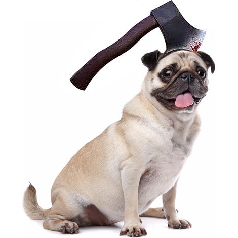 Chapeau Halloween Pour Chien Et Chat - Accessoire Déguisement Zombie Avec Scie Ou Seringue - Lot De 1 Pièce (1/5)