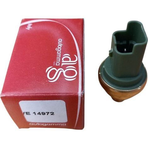 Sensore temperatura per peugeot 107  206  207  208 i  301  307