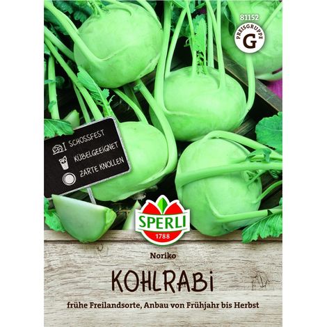 Sperli Kohlrabi Noriko - Saatgut für 50 Pflanzen