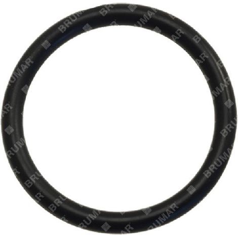 O-Ring für KOMPATIBLE BERTOLINI-Pumpen - 016183