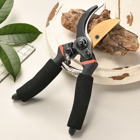 Forbici da potatura da giardino con lame dritte in acciaio e titanio. Forbici da fiorista che tagliano il legno secco. Manici ergonomici.