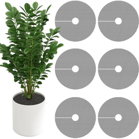 Lot de 6 grilles de protection pour pots de fleurs, chats, 30 cm, protège la terre des animaux (1/5)